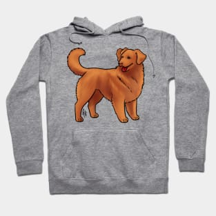 Dog - Nova Scotia Duck Tolling Retriever - Red Hoodie